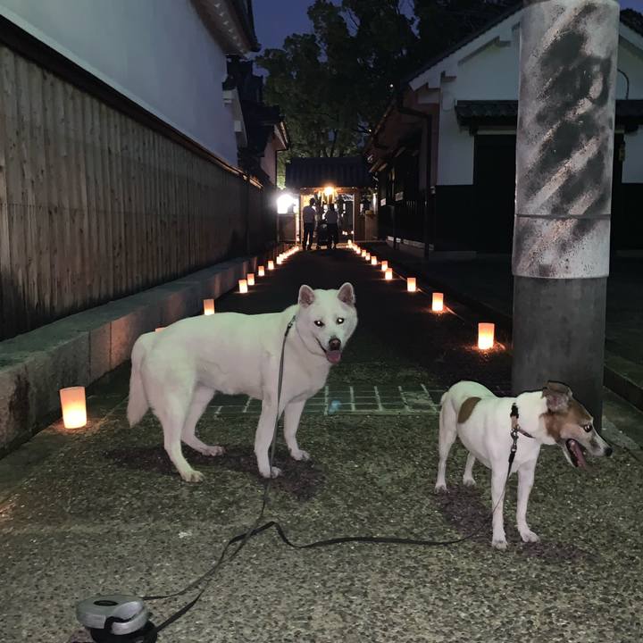 2d71298f bf36 4591 a8c9 7daf5d76c9b6 1565440375530