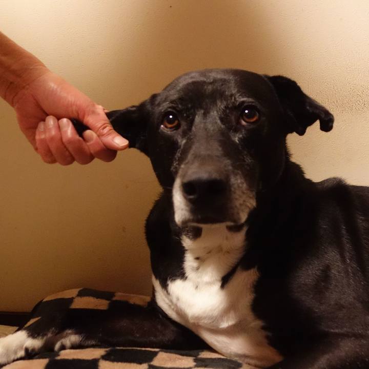 2d71b2ae 3c67 4425 aff7 732e56f66a9a 1734825067274