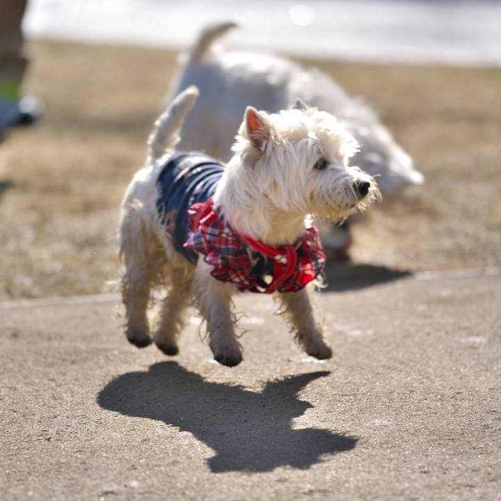 2d71f68f a30a 468a 9736 2f32702474c2 1515329515583