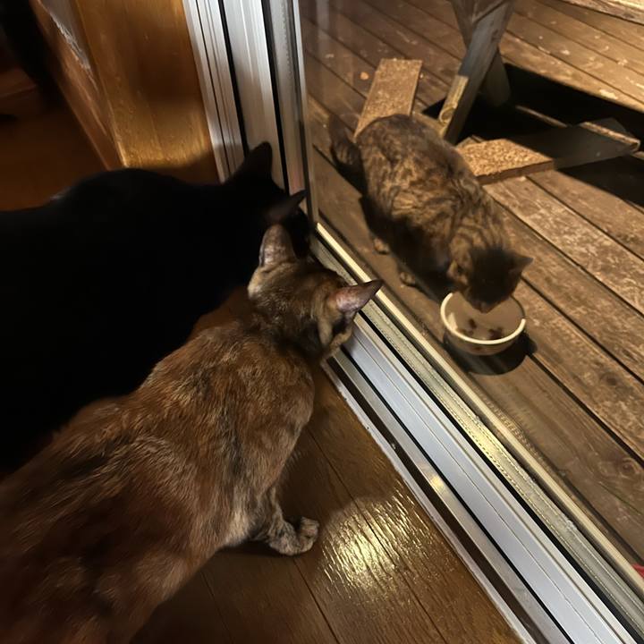 2d72413d 4f46 4fc8 8751 b5e9c177a07f 1660130821104