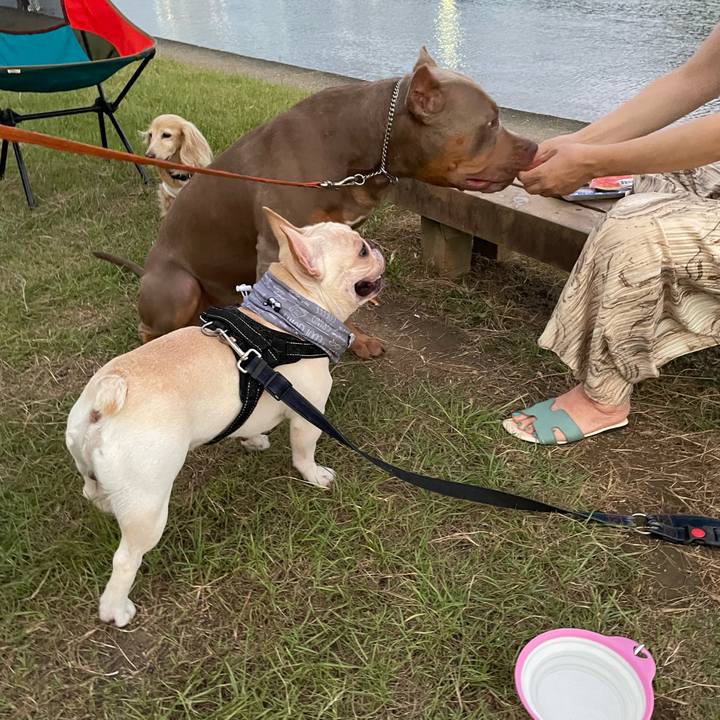 2d72b57e 54f8 4904 8803 9a5553221d0d 1659013893464