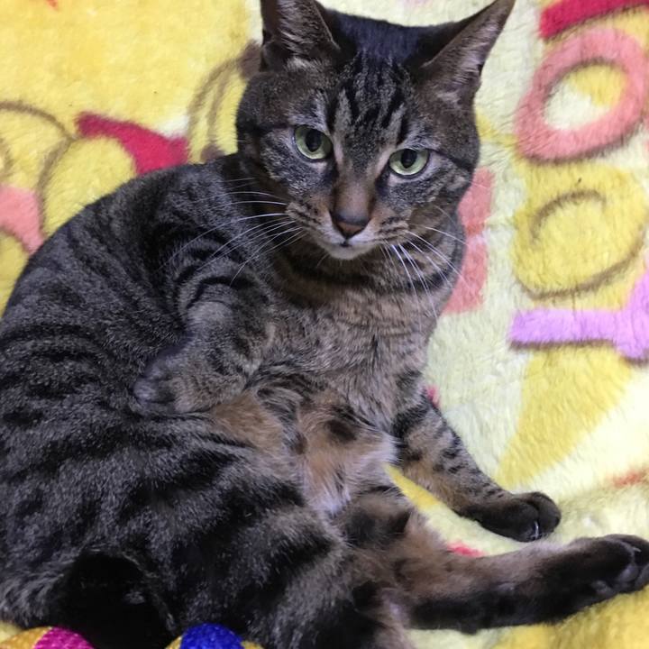 2d72e427 a52b 4bc7 a076 2cdbeaa14be1 1521289739724