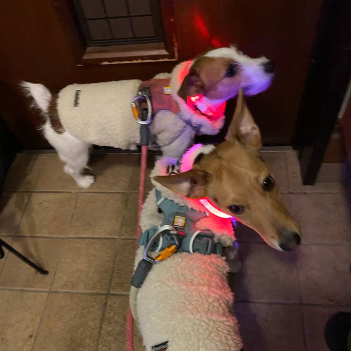 2d72f3a2 3c04 45a7 8736 0d5dc4b0f86a 1766754055728