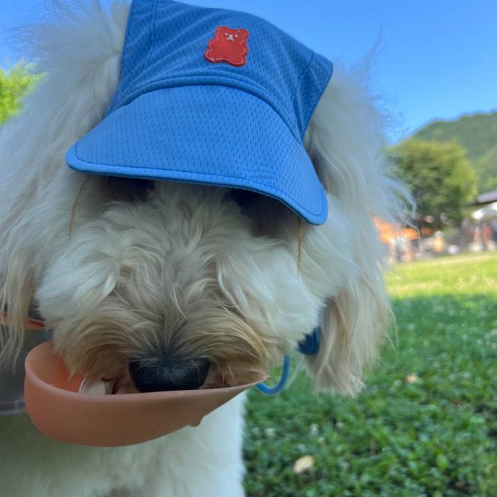 2d72fd25 7f9b 47a7 bd89 5195144c570c 1751698764184