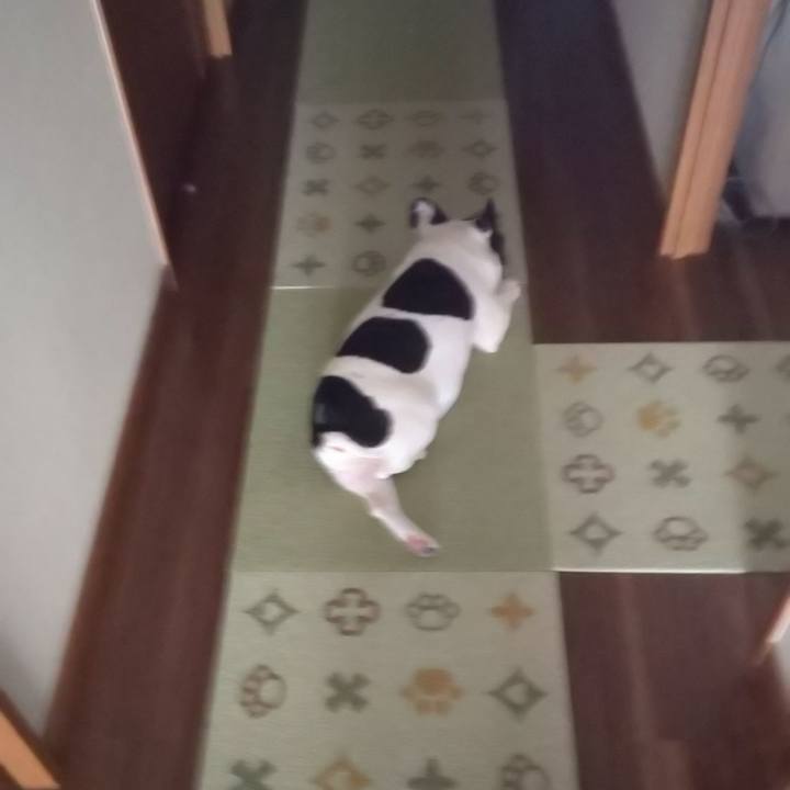 2d7301c2 703d 40b4 a53d 08526734b90b 1632435571050