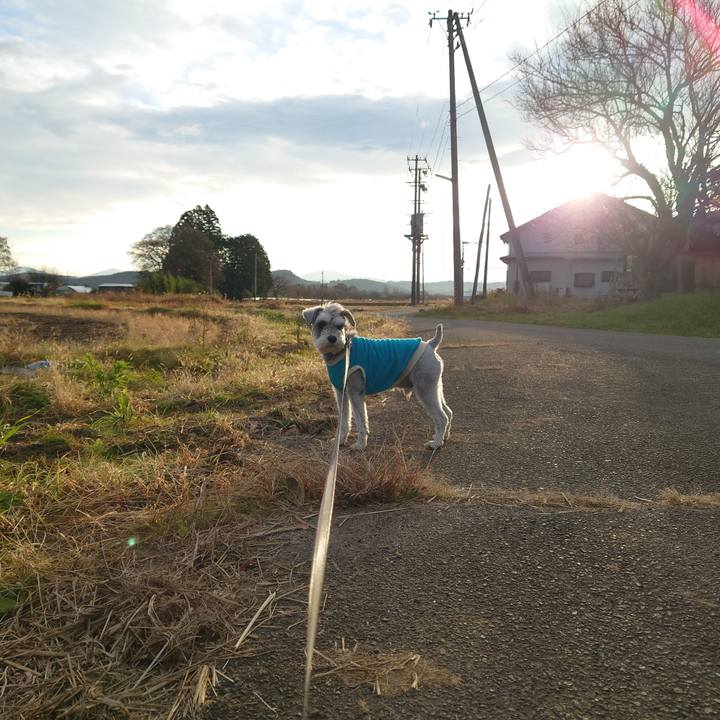 2d732700 14b5 47ab a268 e5414fdac84a 1764114322491