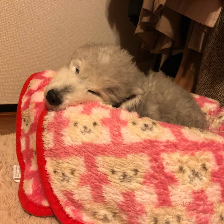 2d73a5b3 3895 49d4 acfb d771fe0f16a9 1578963413391