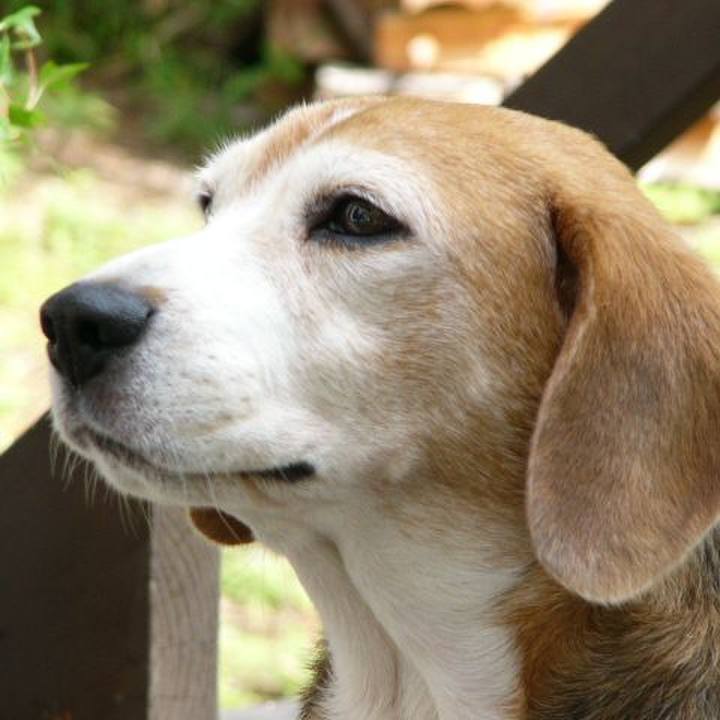 2d73ae94 be53 4d03 9d31 7be04d73e4aa 1640133002705