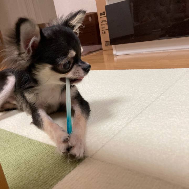 2d740478 8fd2 437f acd9 2f79aa005d4a 1598789882505