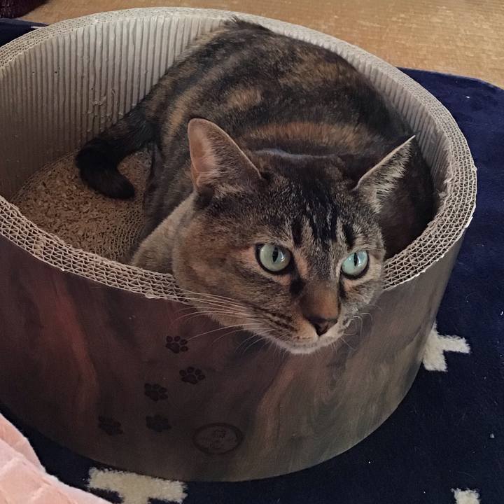 2d740e51 faa2 4c9b 9e23 42884a71c153 1709949755703