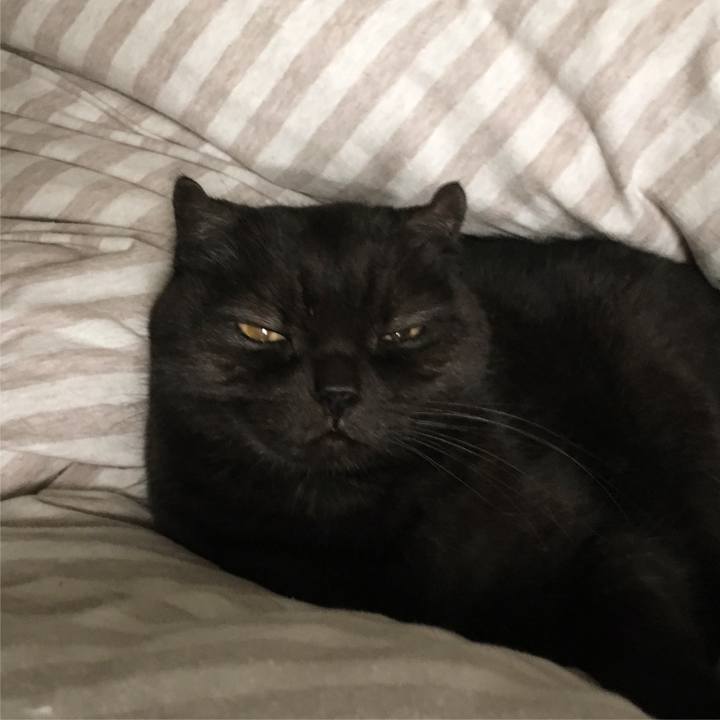 2d7481c1 4eea 4301 9e35 fe7f6af74d6c 1511668018159