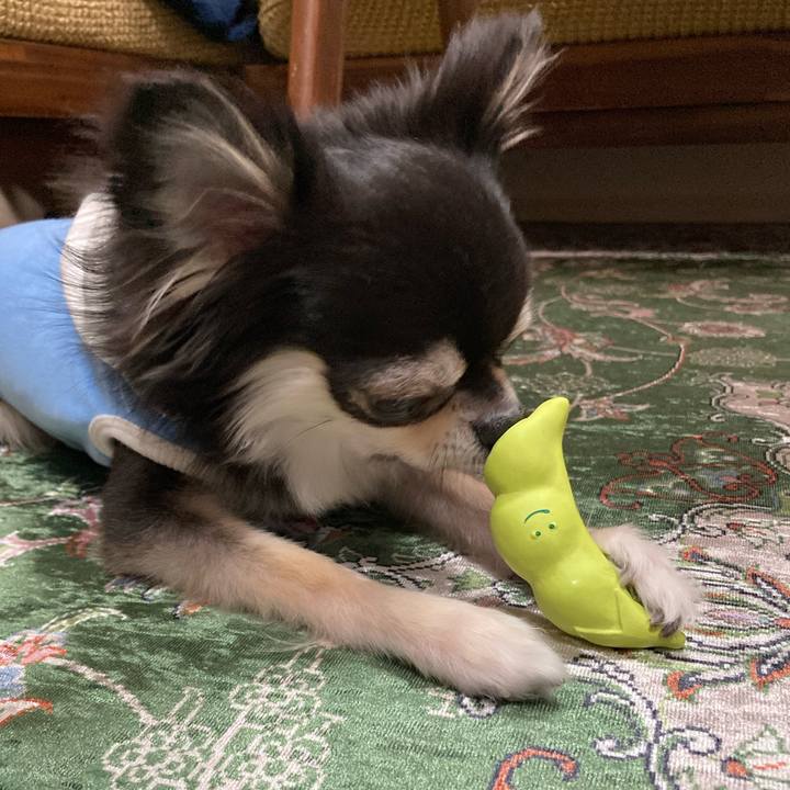 2d749527 34eb 4c70 b7b4 3bb759554edb 1651585567066