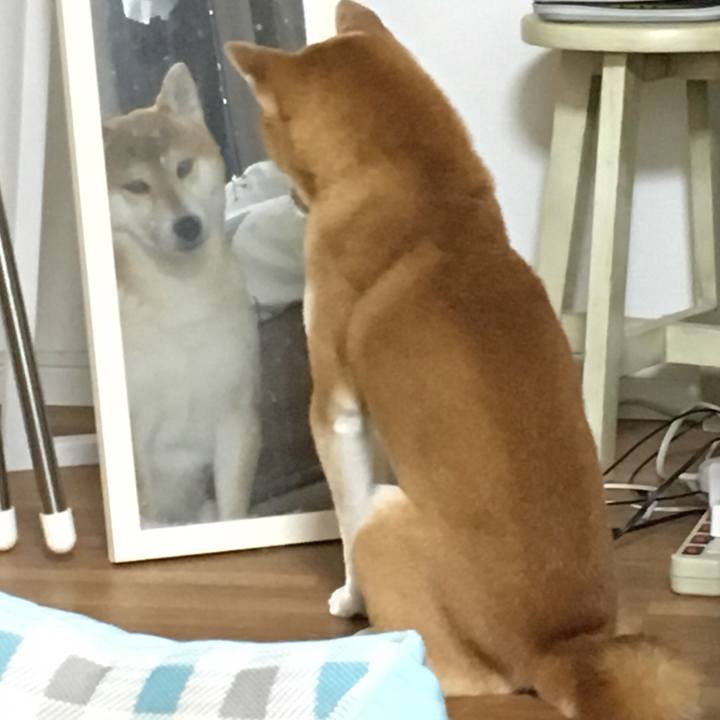 2d749f7d ebba 4ce9 b6df 043ed86057d8 1543108184333