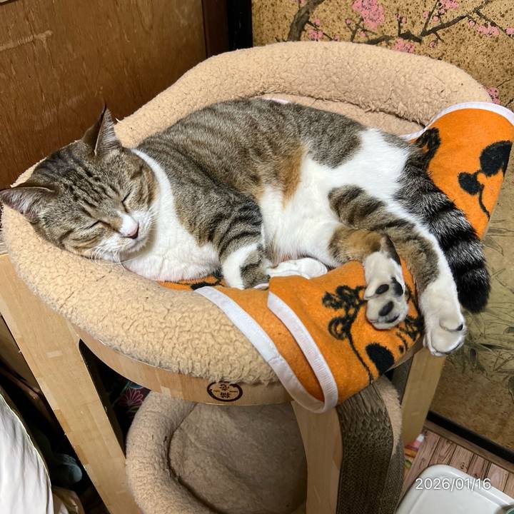 2d74b1c4 d198 47b7 8a6c ac1e25fa3c34 1768514324451