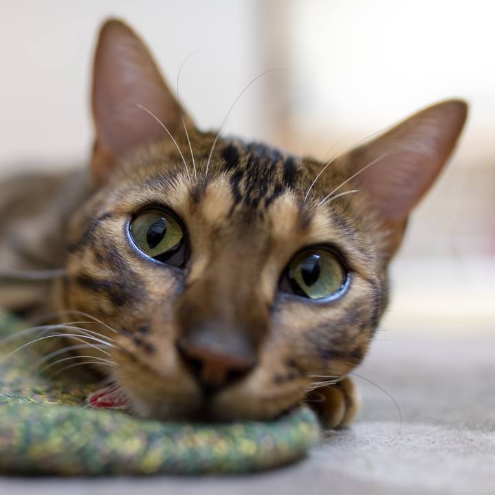 2d74b881 0a91 426a 8f44 557adfe471e7 1520952911970