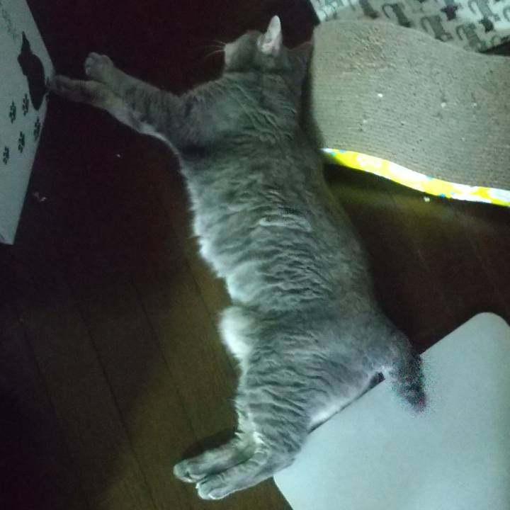 2d74fbf1 c4e7 45d7 bfb4 be0476b87144 1659943983671