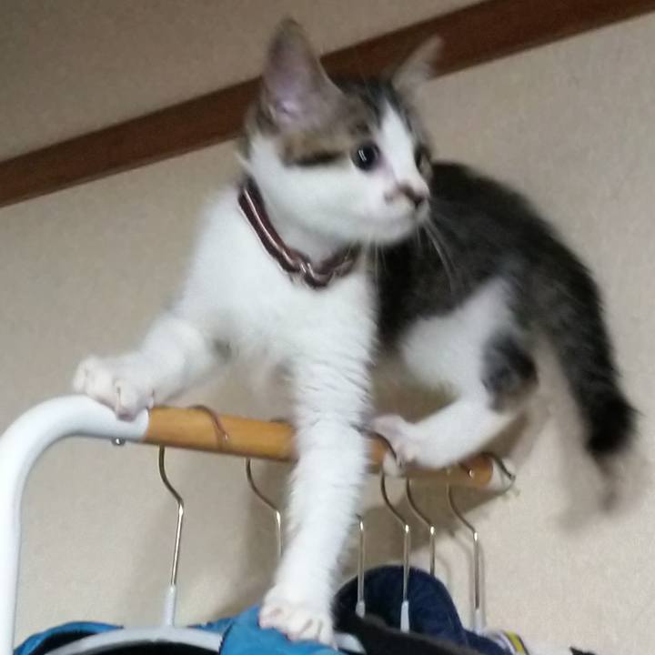 2d750761 a20c 4c50 88d4 84a6e4674ad7 1608032929735