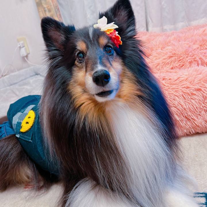 2d752e5c 3c9a 46d1 9042 075180a4ee77 1710261141074