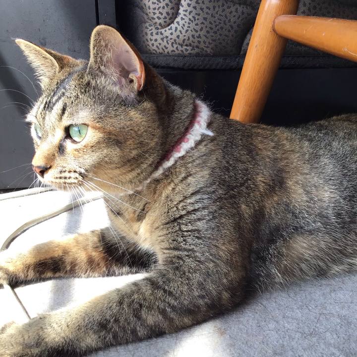 2d75c3d8 61ef 4ea7 b8df 55833fa84bc4 1661314631553