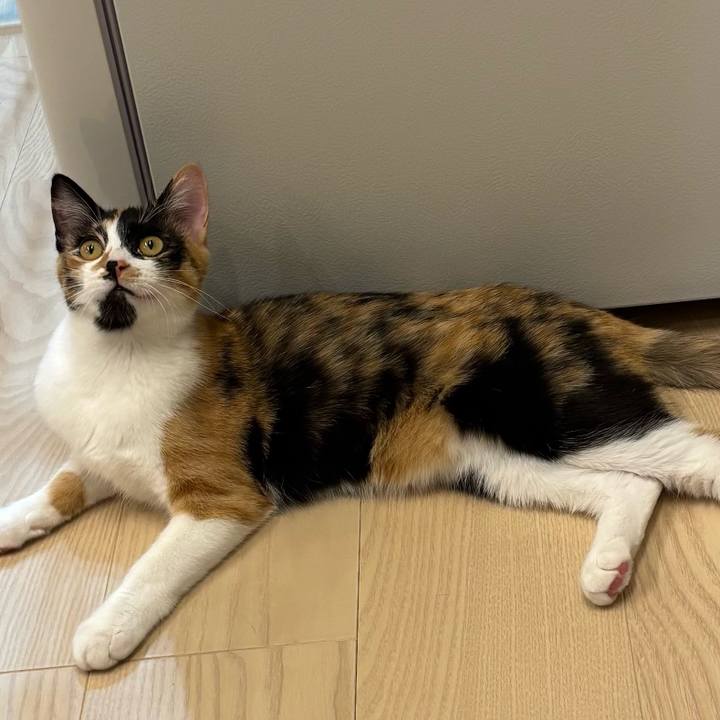 2d75e119 e869 476f b2df 2763dad19bc1 1763208381166