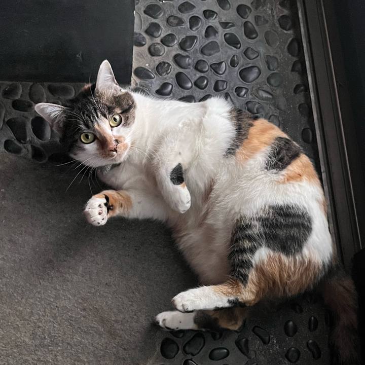 2d75f7f0 01bc 4af2 a30f 44c1d96b70cb 1768734858408