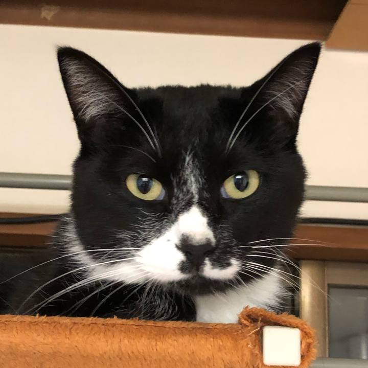 2d766062 d7db 4a8e 8871 f1eea5955dda 1571726333075