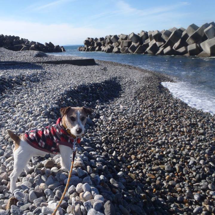 2d767758 4872 4cd1 9b52 711b77458788 1512202791946