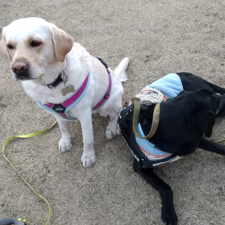 2d76cc51 d0df 45c6 9001 366fa94659b0 1711011773419