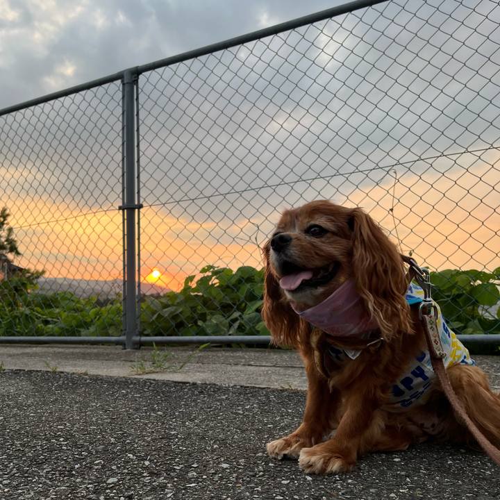 2d76f9bb c960 4c43 9c23 672aa9213284 1755904505220