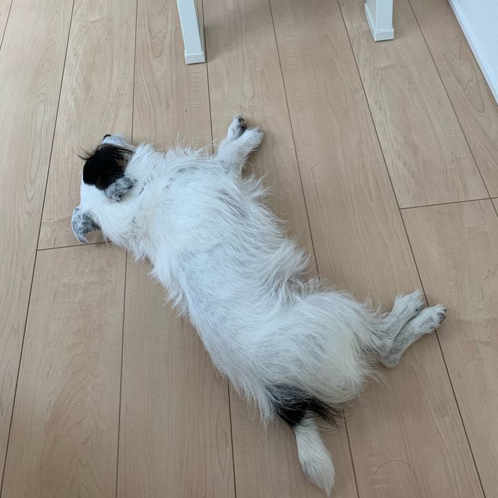 2d771ab9 26d8 44f3 b06a e2ba4559f3eb 1686024258535