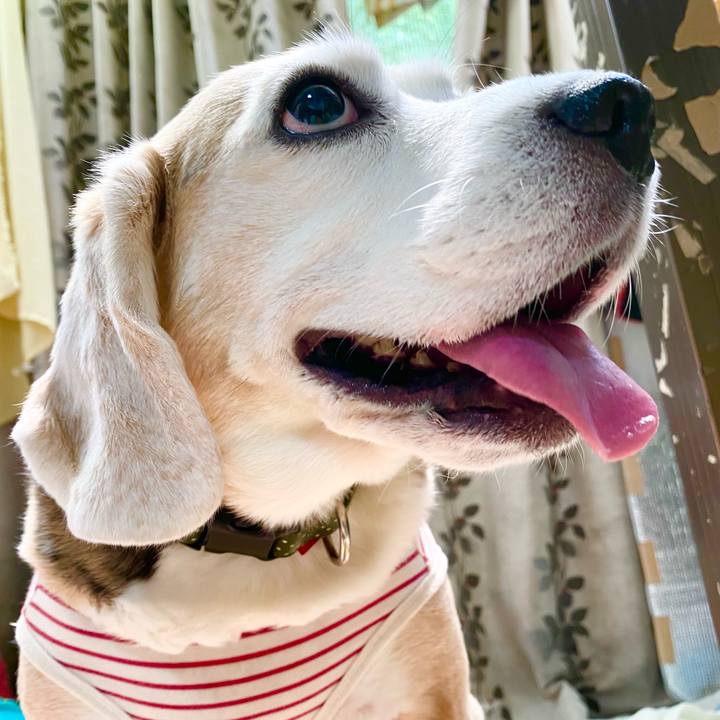 2d7731d6 3728 4d4e 9a83 5a10b6237711 1653796393176