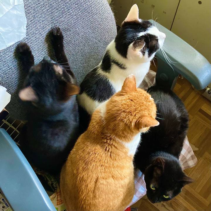 2d779428 569d 4d51 87f6 9859d4931b06 1682647891884