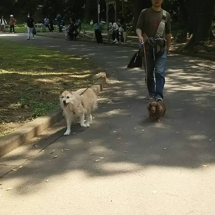 2d77bba5 1ea6 4081 b6e0 e67e1ba5511c 1524275635710