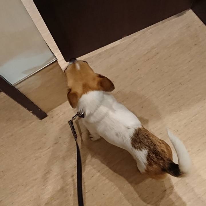 2d77f620 3cff 4e29 8214 9ce0568e9f6b 1613718720617