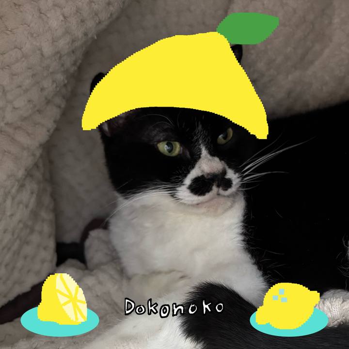 2d77fd54 cbfe 449e 9116 2e177d839a42 1741094638886