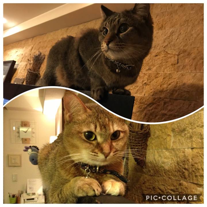 2d781302 a135 4ac2 a72f 05d5e9407b0d 1560067255593