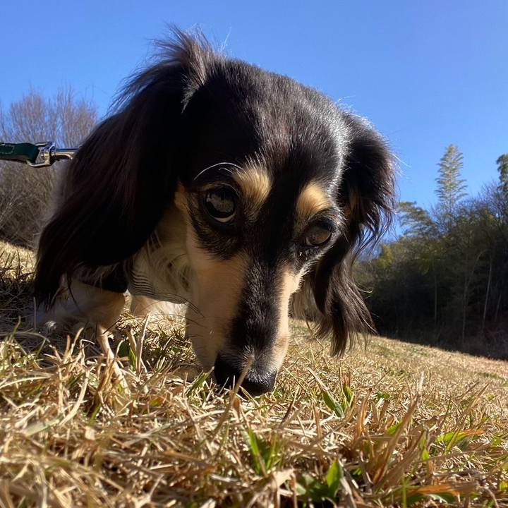 2d781517 f431 43b3 a1ef 07ce5d2d056b 1772944206134