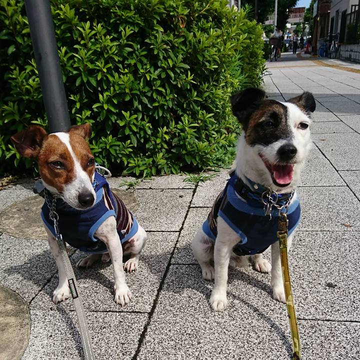 2d781627 8952 42b0 8f9d c5e0800672cf 1592179157604