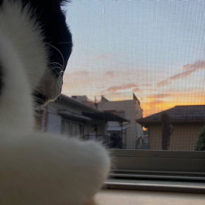 2d7855ec a1ef 4be0 b04c aca5d06a38e0 1600376010566