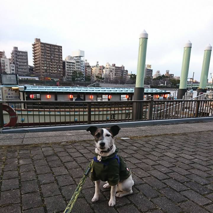 2d786a6e 14be 48be 8e53 39d9dc50b122 1517729034273