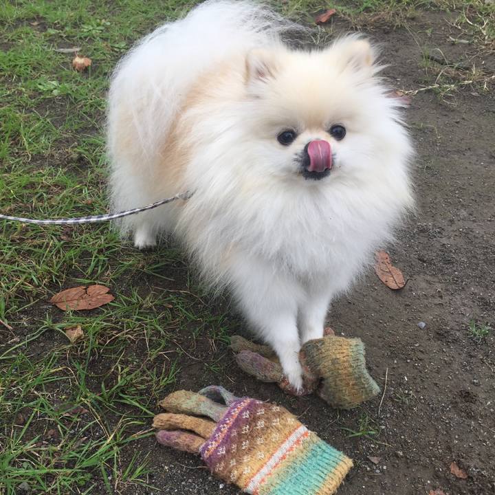 2d787e20 ab45 412a b82f 4ce049c26cb1 1542069479447