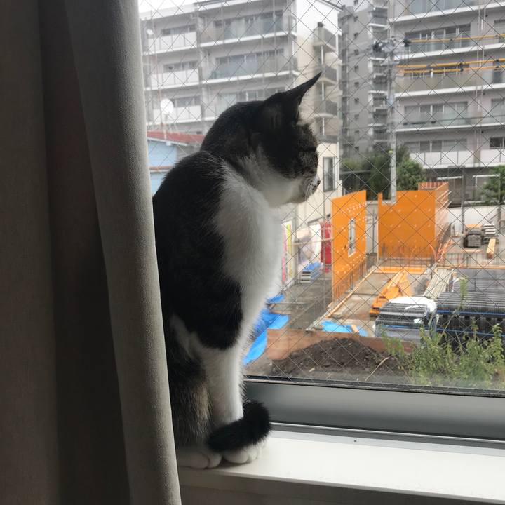 2d788250 469b 4186 9a53 281e0824baf3 1538520643472