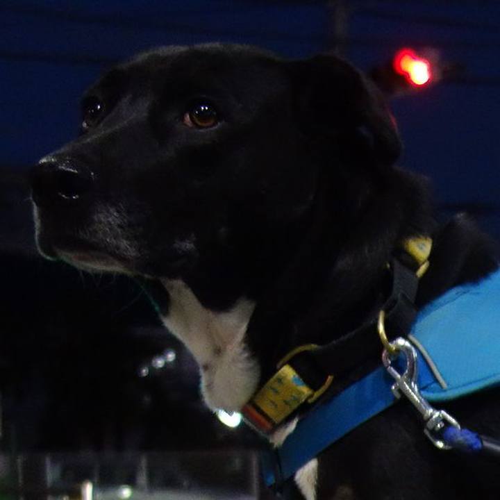 2d7895b4 4462 4a09 8220 e763bee59d42 1618225307400