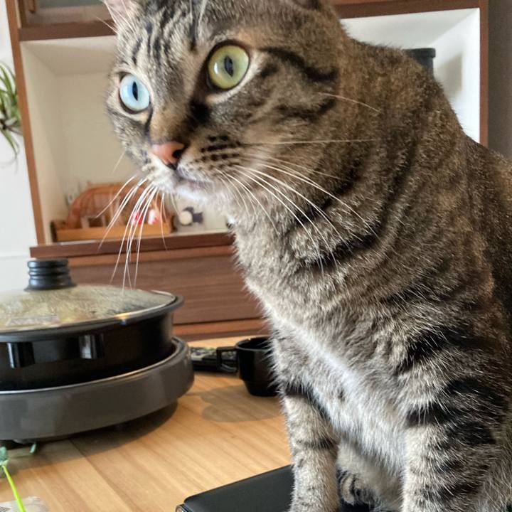 2d78d319 8d3e 4588 9c66 7314c4c6b22c 1599520155051