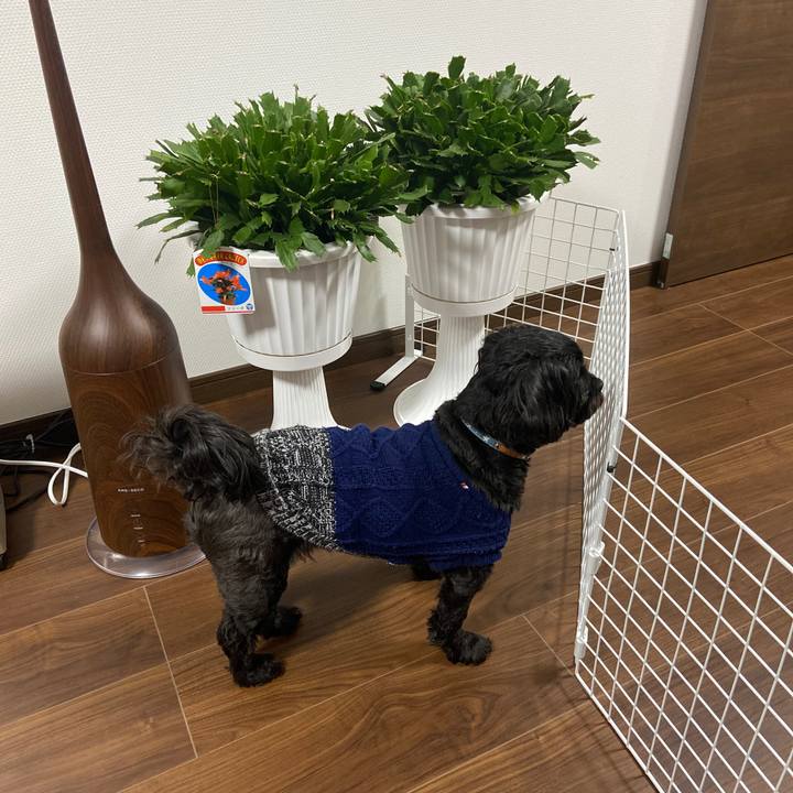 2d791db7 5132 44a2 a5c5 e95d426b86bb 1610613858431