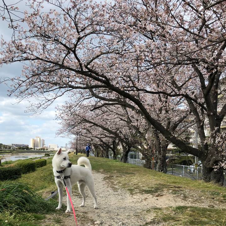 2d797912 9fc6 4fb9 832d 5c92e4629af3 1554020849073