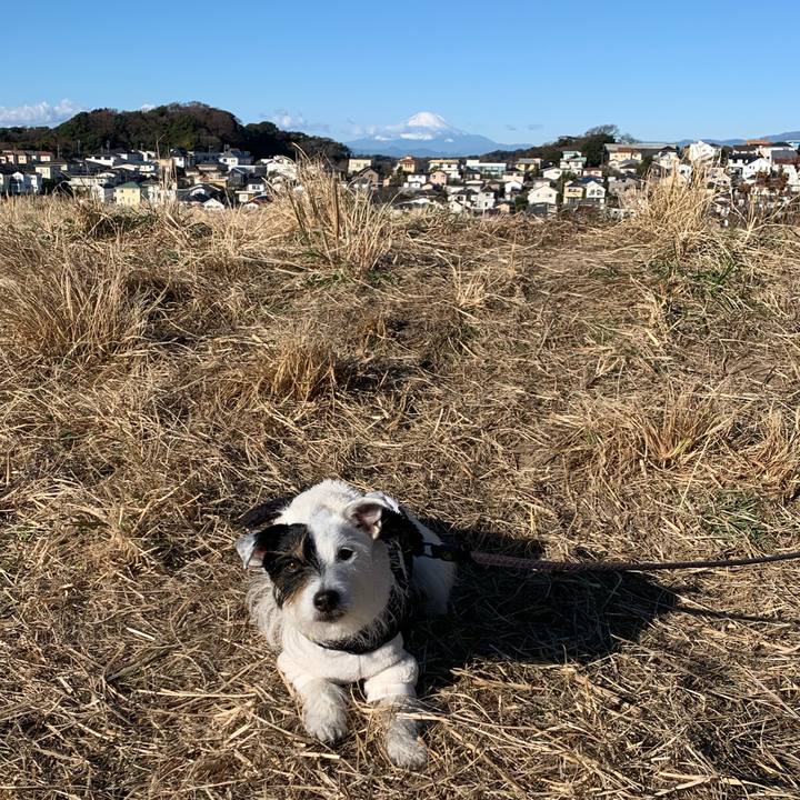 2d7a08b1 9f80 467d 9f15 23ca68e43eed 1672882957829