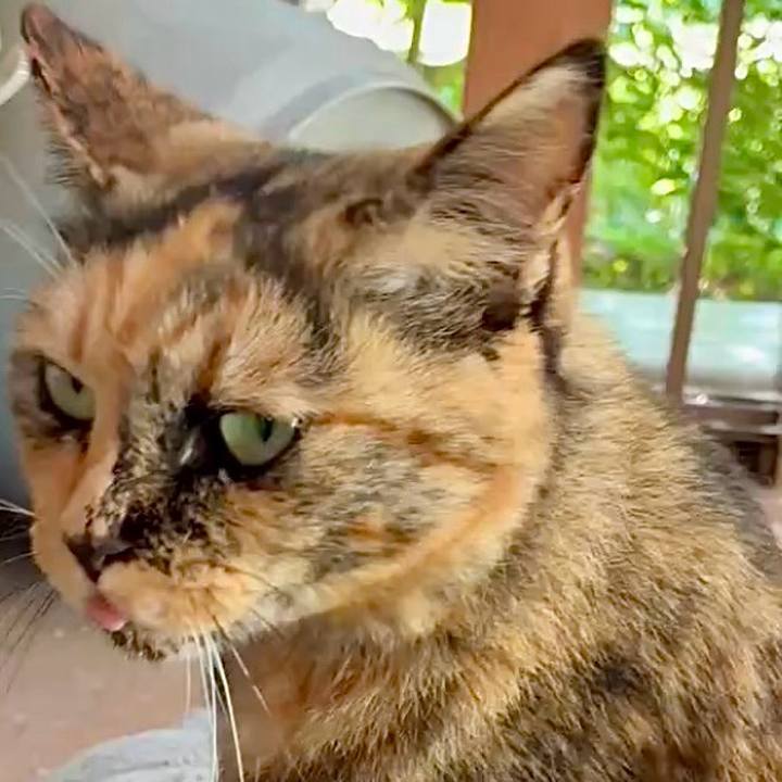 2d7a338d c25a 4471 83f9 e7cb88796f04 1753320897310