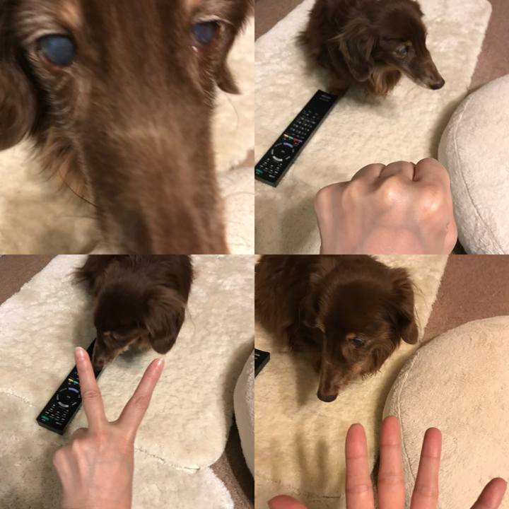 2d7a58b6 b733 4bb5 bbab 63b5335968db 1513292339429