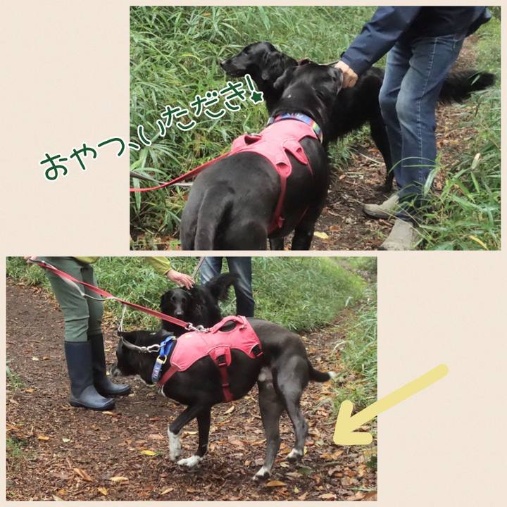 2d7a6d0e bfb5 41e6 bc55 be669d97bcd0 1698540715491